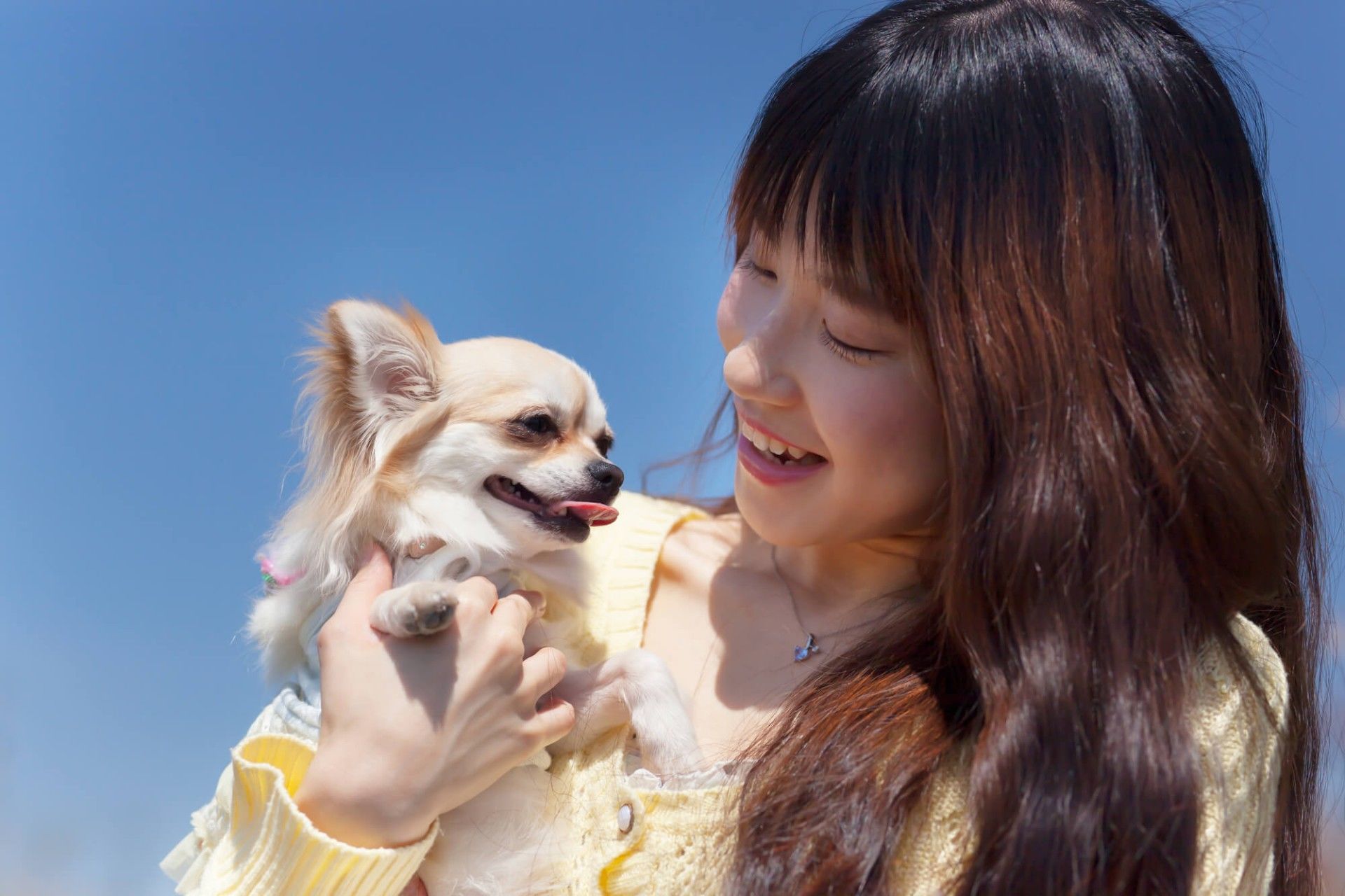 笑顔の女性と犬