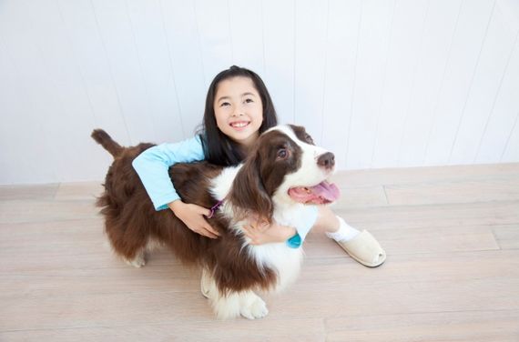 動物とお客様とのふれあい