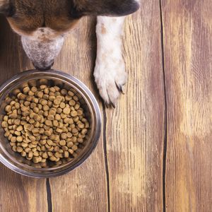 ペットショップ・GREENSTYLEでは高品質な餌を販売しております