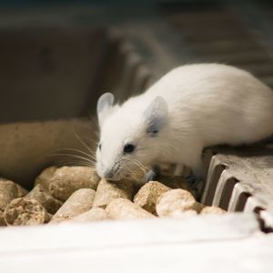 GREENSTYLEでは研究用教材の受発注にも対応しております