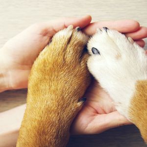 杉並区のペットショップ・GREENSTYLEは動物たちと触れ合えます