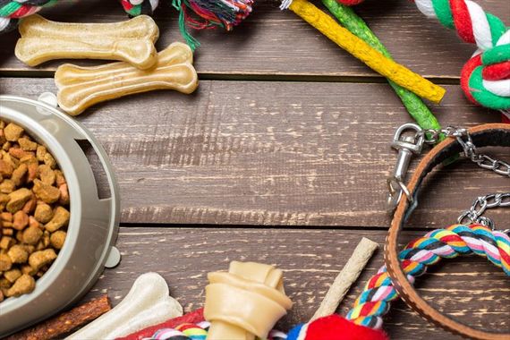 ジャイアントミルワーム