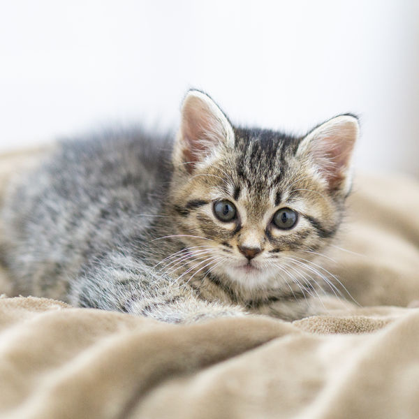 回数券サービス開始！！！！