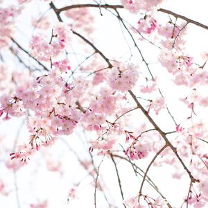 GREENSTYLEでは千代田区にも送迎致します！