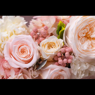 GREENSTYLEは中央区にも送迎致します！