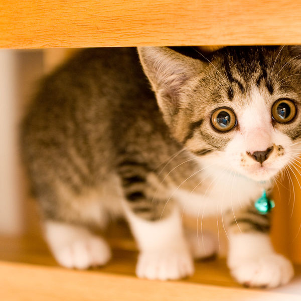 GREENSTYLEは文京区にも送迎致します！