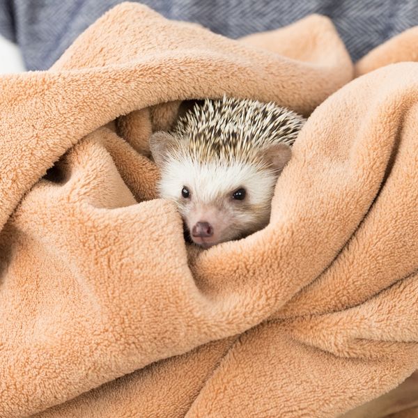 GREENSTYLEは台東区にも送迎致します！