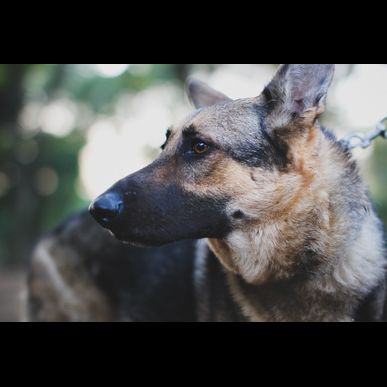 GREENSTYLEは墨田区にも送迎致します