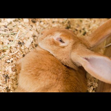 GREENSTYLEは江東区にも送迎致します！