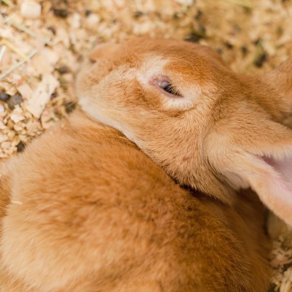 GREENSTYLEは江東区にも送迎致します！