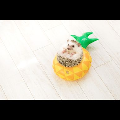 GREENSTYLEは品川区にも送迎致します！