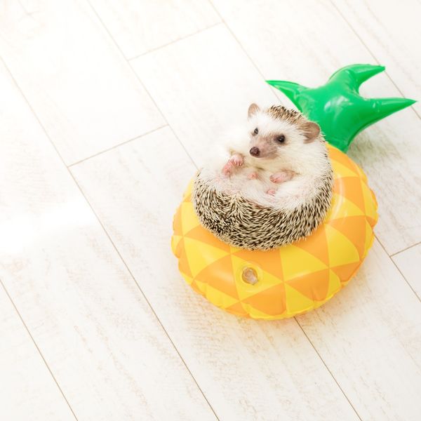 GREENSTYLEは品川区にも送迎致します！