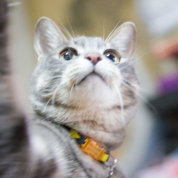 GREENSTYLEは目黒区にも送迎致します！