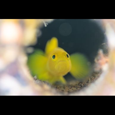 GREENSTYLEは大田区にも送迎致します！