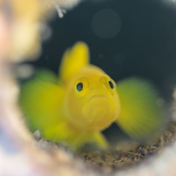 GREENSTYLEは大田区にも送迎致します！